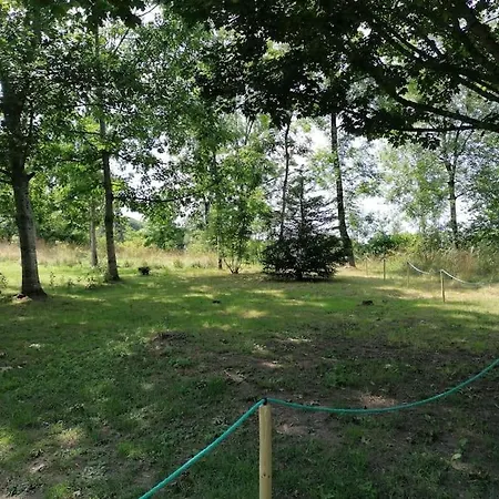 Chalet bois rénové dans camping 3 étoiles Chalet Thiviers