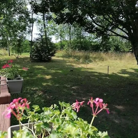 Chalet bois rénové dans camping 3 étoiles